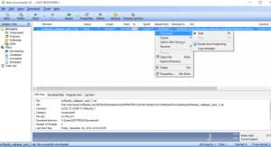 Mass Downloader Portable + Keygen (x64) MEGA