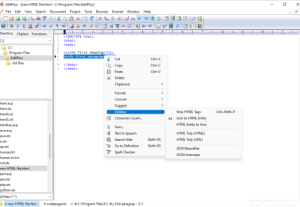 EditPlus 30-user license Portable + Product Key [Stable] (x64) Stable