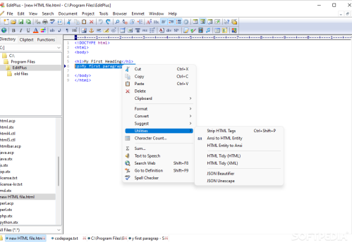 EditPlus 30-user license Portable + Product Key [Stable] (x64) Stable